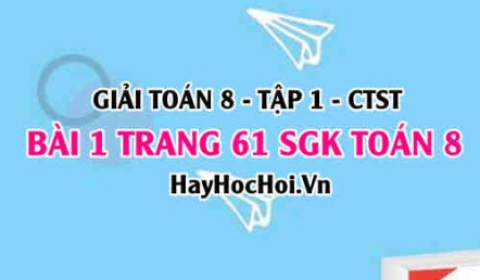 Giải bài 1 trang 61 Toán 8 Tập 1 SGK Chân trời sáng tạo